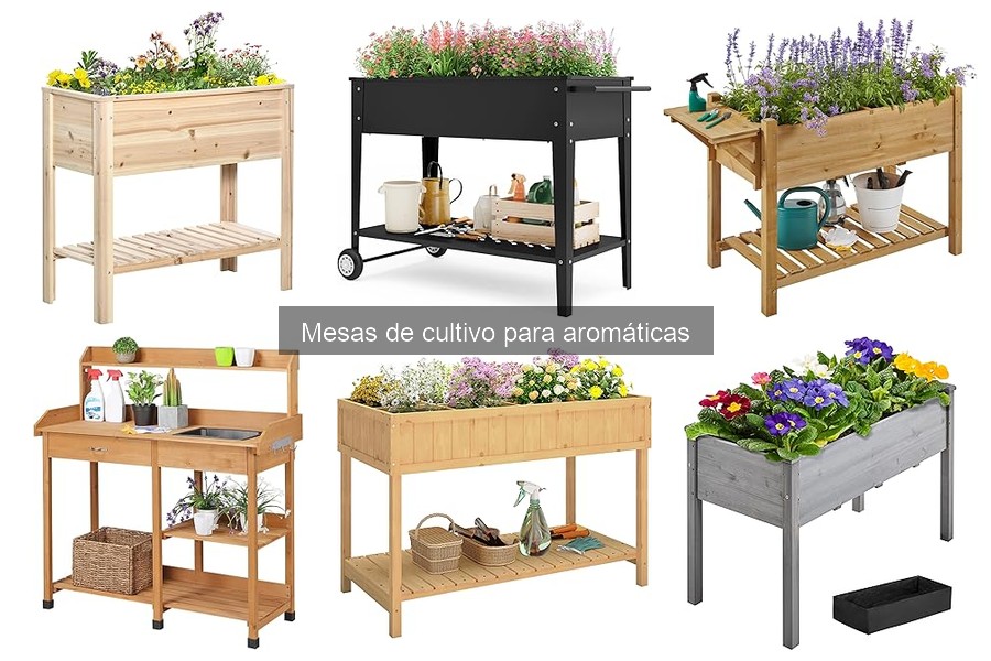 Impacto ambiental de las mesas de cultivo para aromáticas
