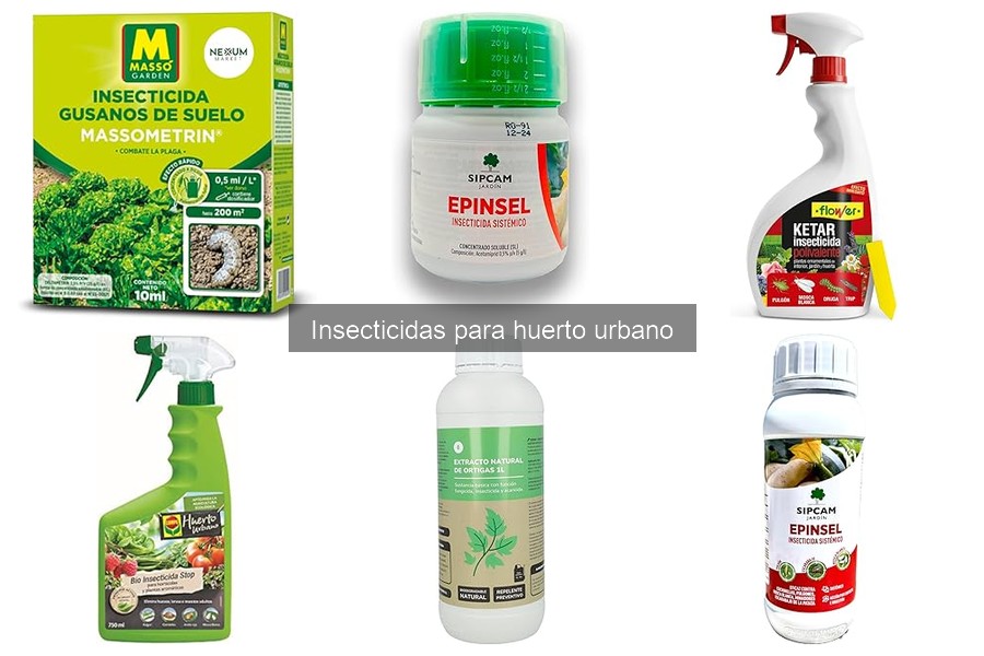 Insecticidas para huertos urbanos: ¿Qué son y cómo usarlos?
