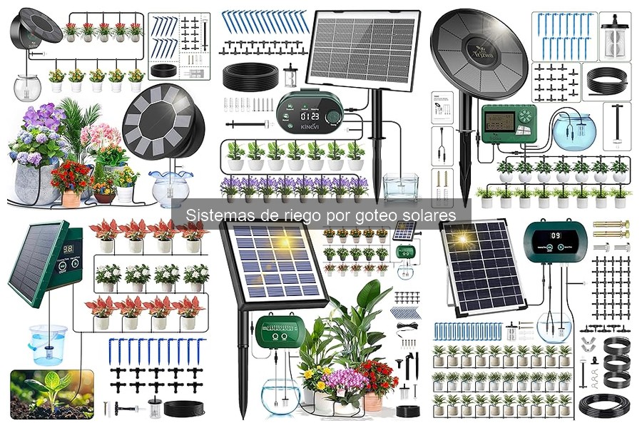 Instala un sistema de riego por goteo solar fácilmente