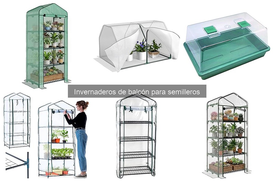 Invernaderos de balcón para semilleros: ¿Qué son y cómo funcionan?