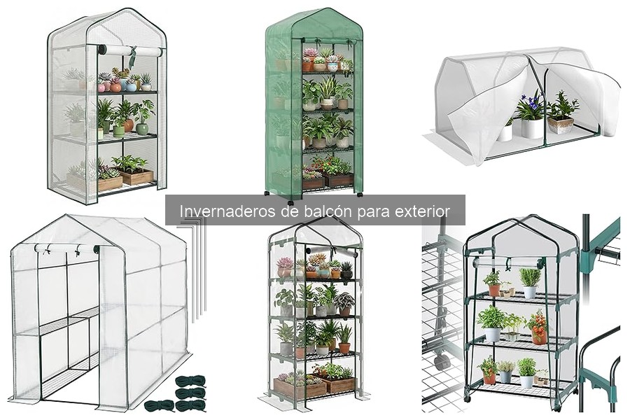 Invernaderos de balcón: ¿Qué son y cómo funcionan?