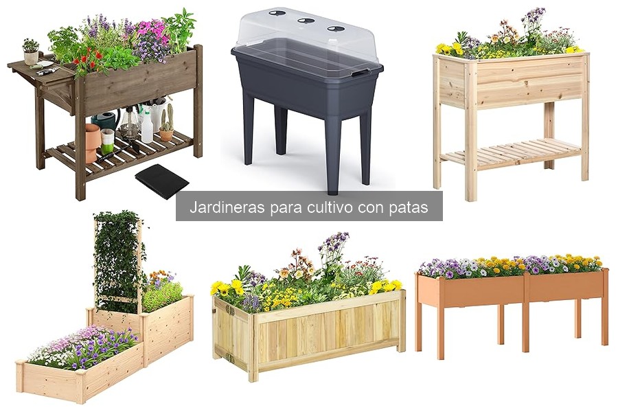 Jardineras con patas: impacto en el cultivo urbano