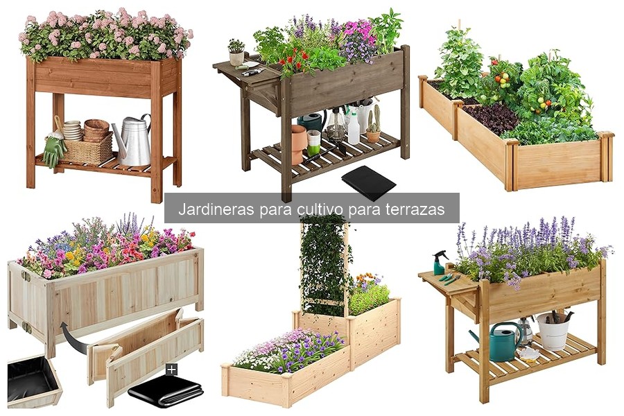 Jardineras de auto-riego: ¿realmente son útiles en terrazas?