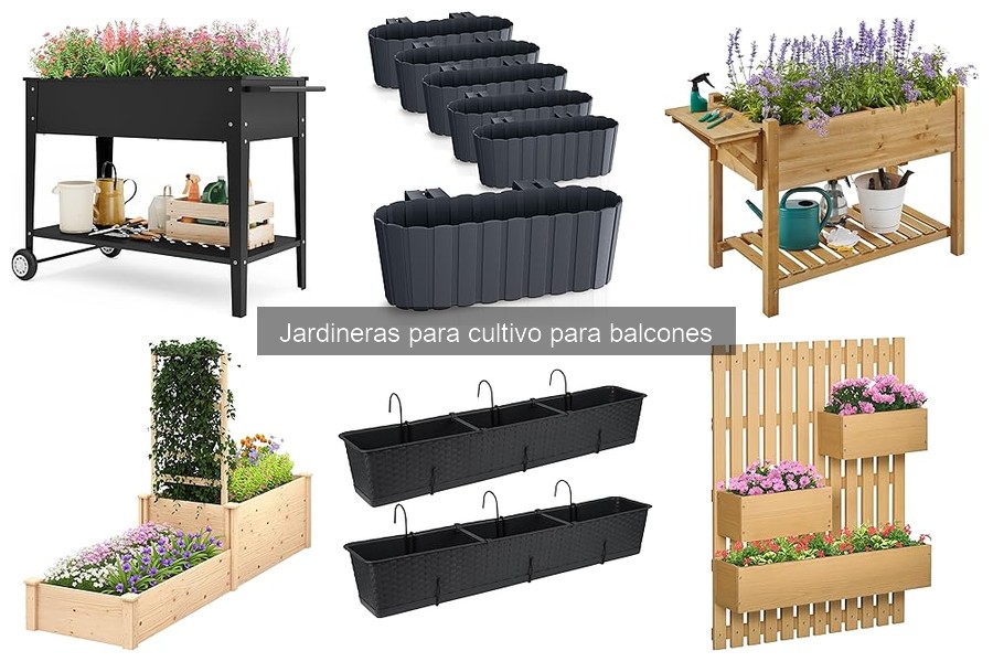 Jardineras para Cultivo en Balcones: ¿Qué Son y Su Importancia?
