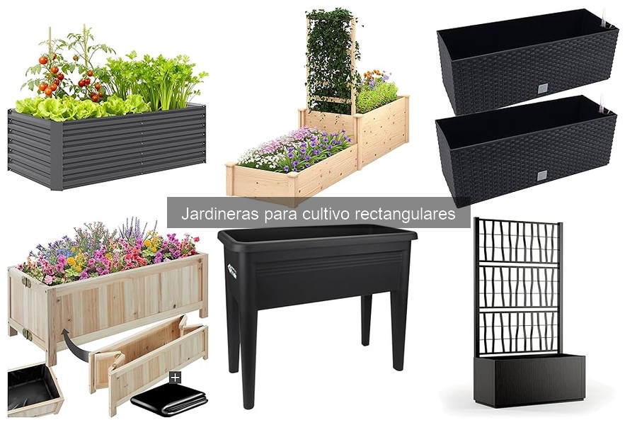 Jardineras Rectangulares: ¿Son Efectivas para Cultivo Vertical?