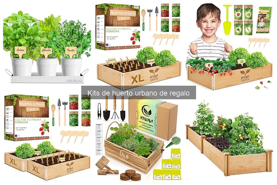 Kits de huerto urbano ideales para espacios pequeños