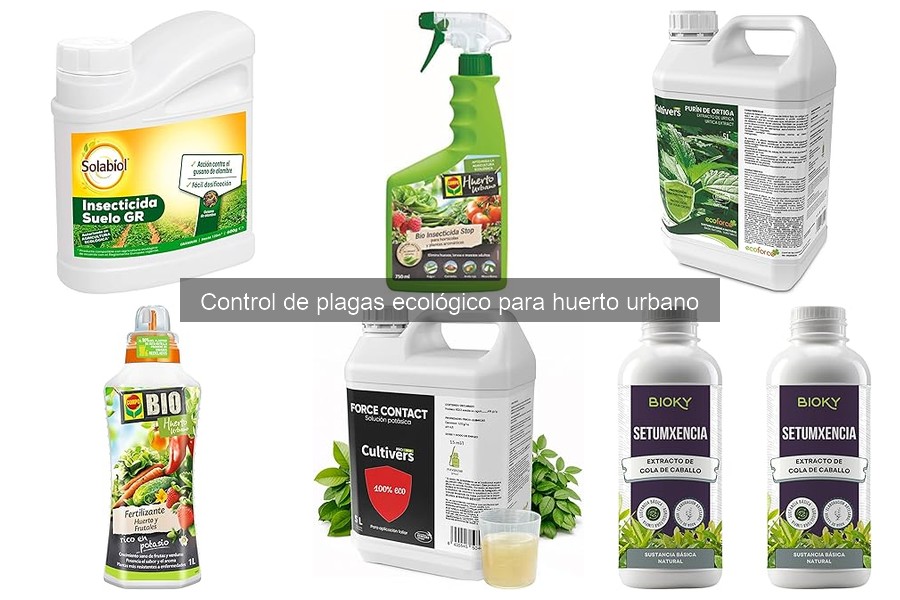 La biodiversidad: clave en el control de plagas en huertos urbanos