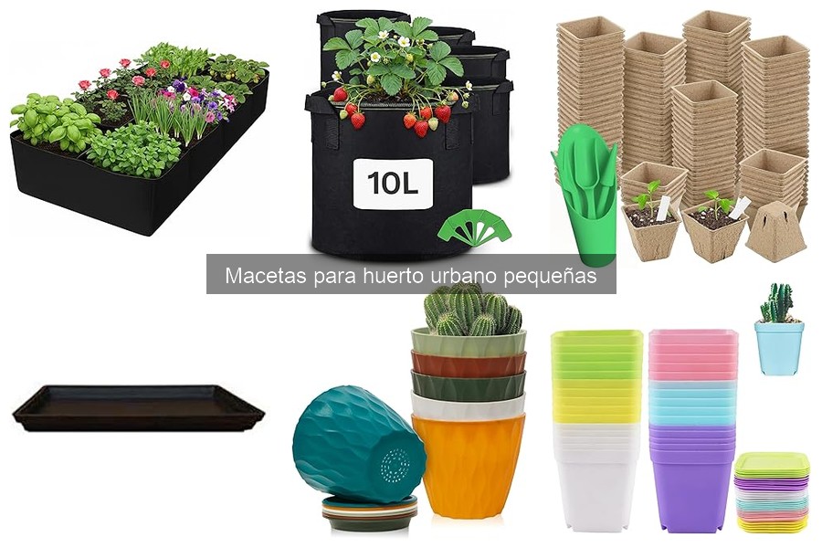 La mejor maceta pequeña para plantas de interior: comparativa 2023