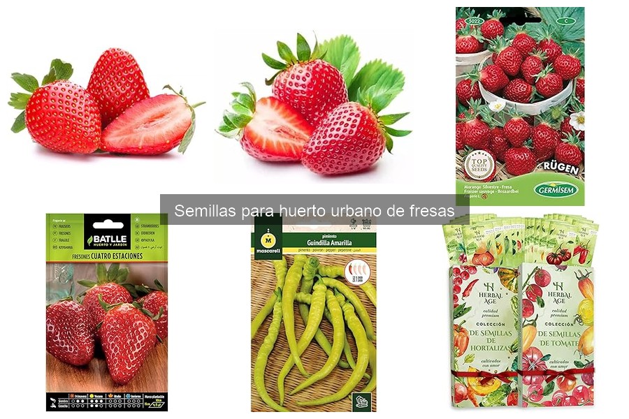 Las fresas más resistentes para tu huerto urbano