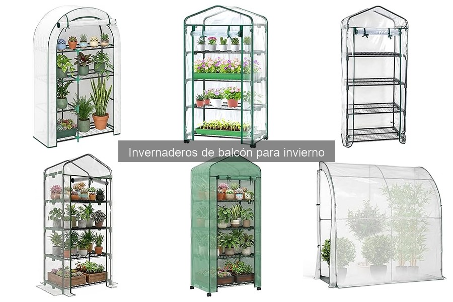 Las mejores plantas para cultivar en un invernadero de balcón en invierno