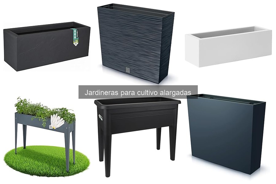 Las mejores plantas para jardineras alargadas en casa