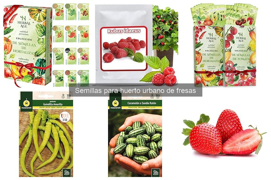 Las mejores semillas de fresa para tu huerto urbano