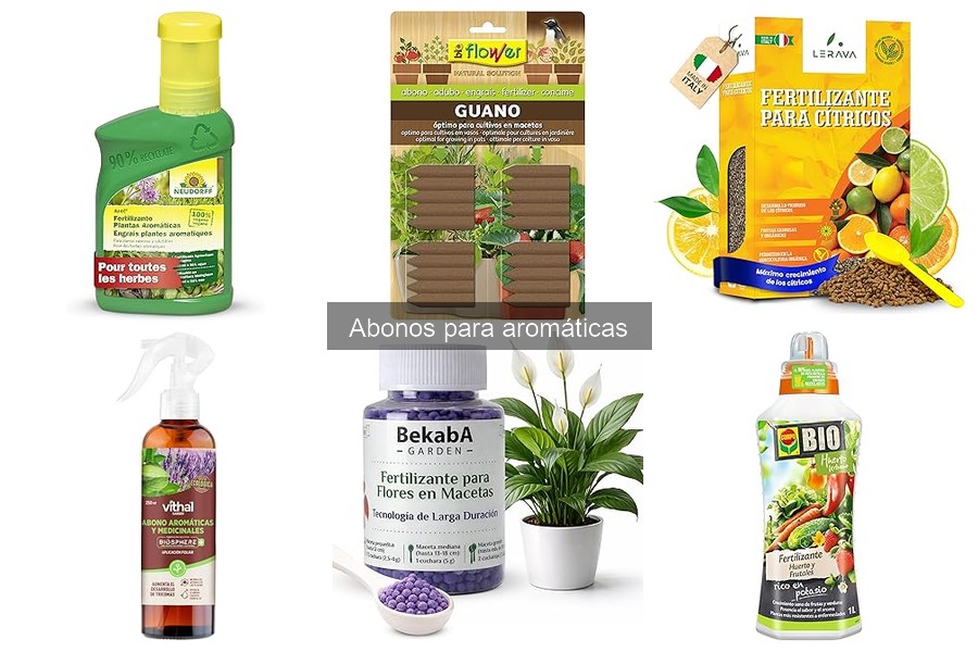 Los mejores abonos para plantas aromáticas ¡Descúbrelos!