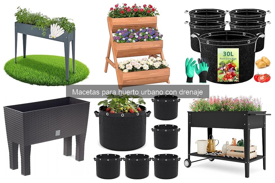 Macetas con Drenaje Auto-Riego: ¿Son Efectivas?