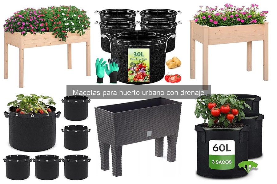 Macetas con Drenaje para Huerto Urbano: ¿Qué Son?