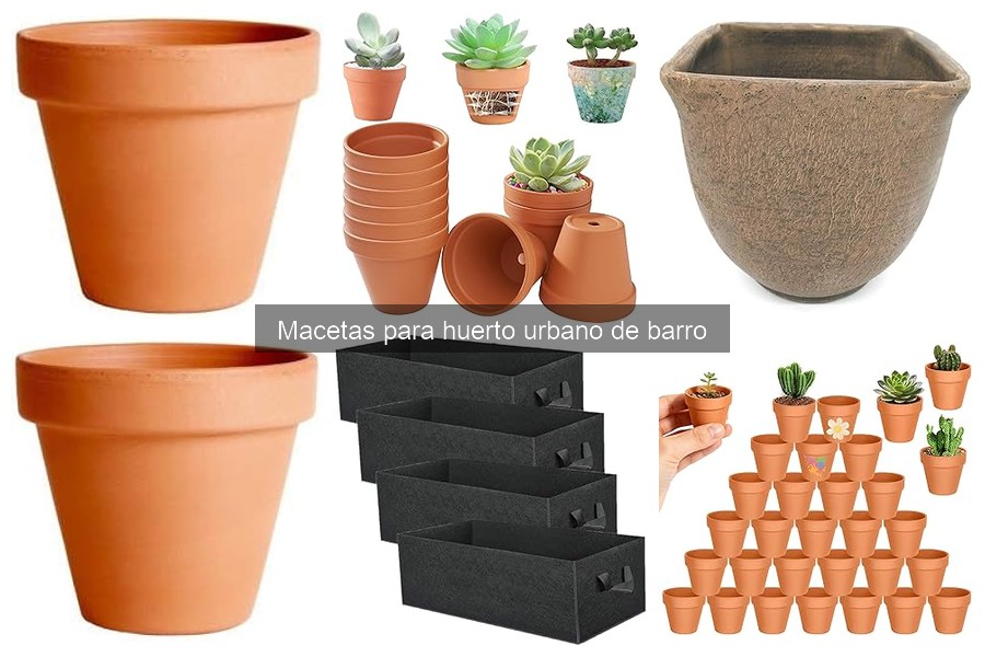 Macetas de barro: Beneficios para el crecimiento de plantas