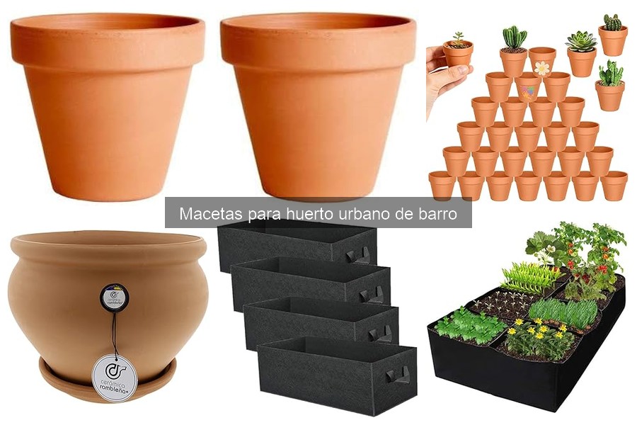 Macetas de barro para huerto urbano: beneficios y características