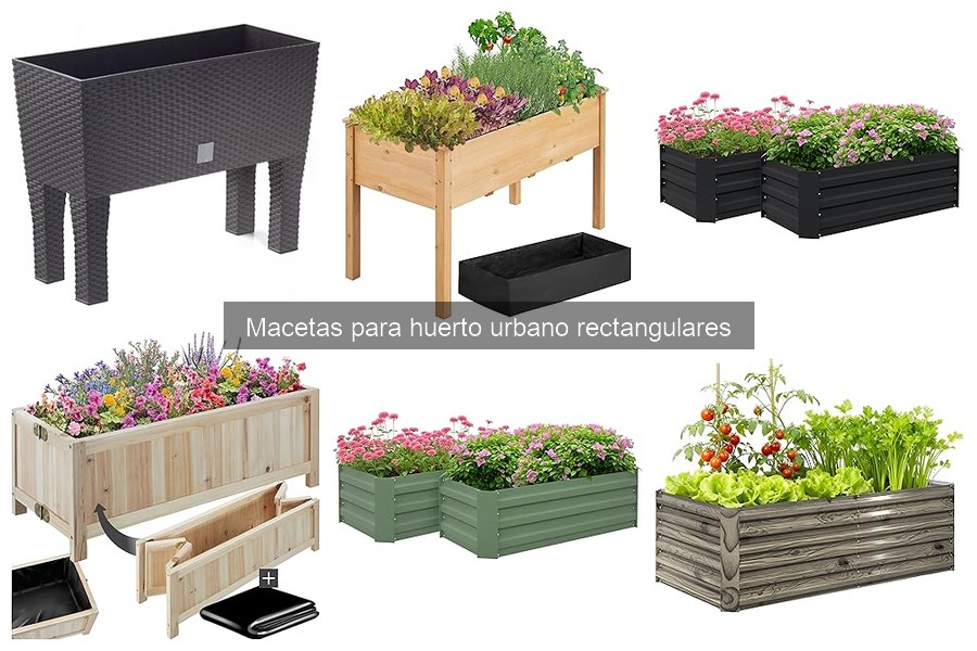 Macetas Rectangulares para Huerto Urbano: ¿Qué Son?