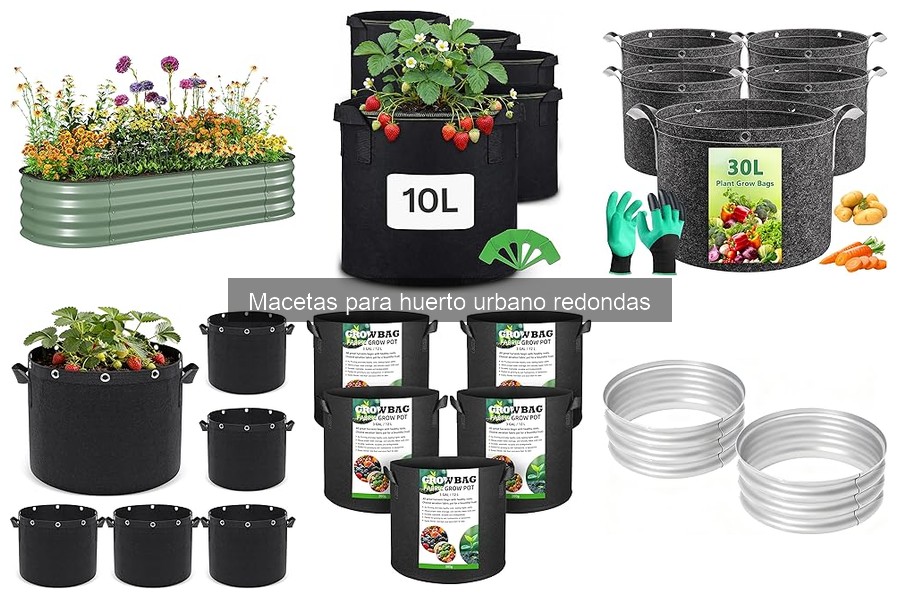 ¿Macetas Redondas de Plástico o Cerámica? Pros y Contras