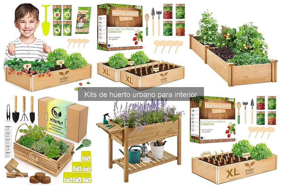 Mantén tu kit de huerto urbano en interior como nuevo