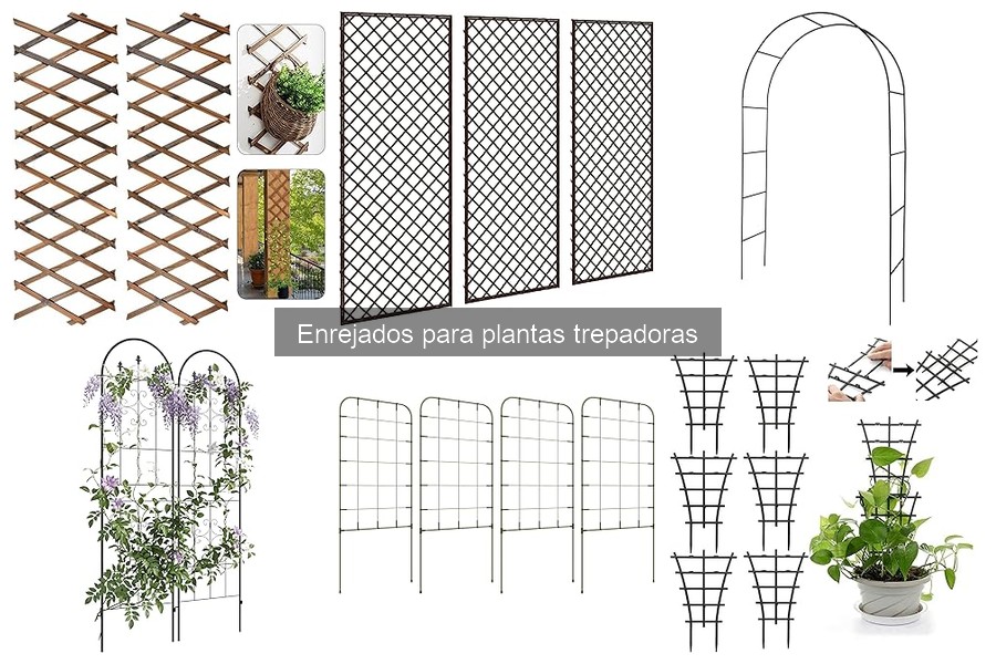 Mantenimiento de Enrejados para Plantas Trepadoras