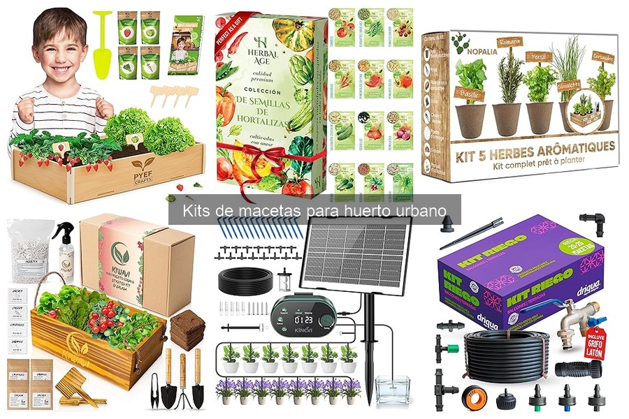 Mantenimiento de Huerto Urbano con Kits de Macetas
