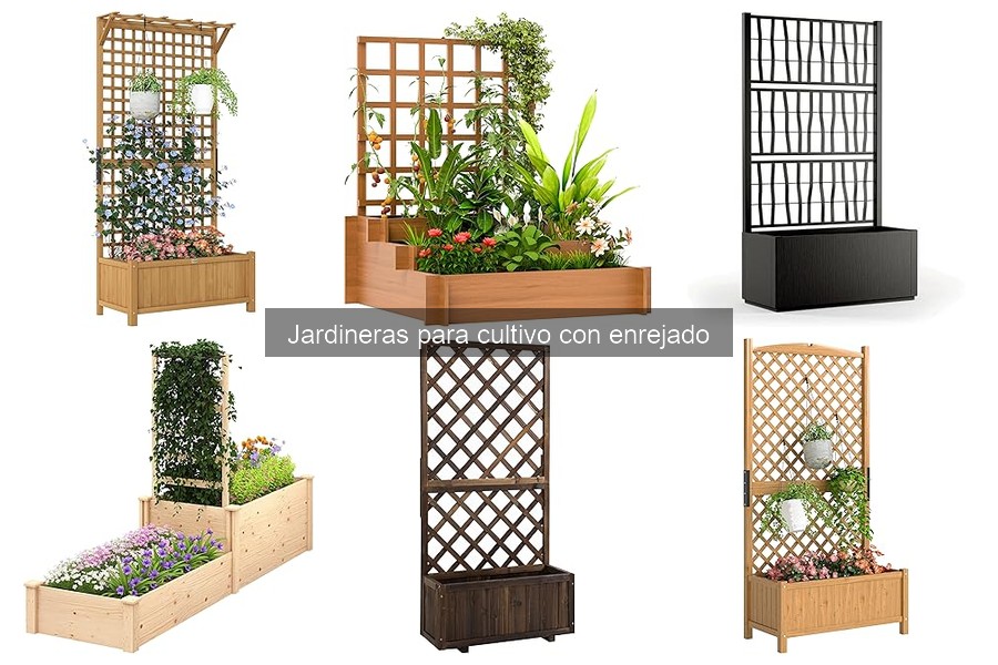 Mantenimiento de jardineras con enrejado: guía práctica