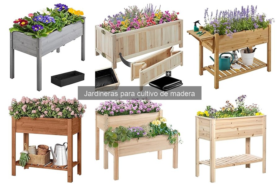 Mantenimiento de jardineras de madera: cuidados esenciales