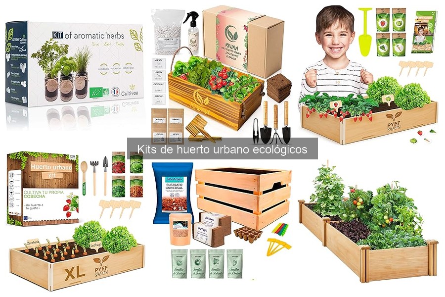 Mantenimiento de Kits de Huerto Urbano Ecológicos: Guía Práctica