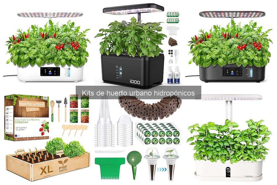 Mantenimiento de kits de huerto urbano hidropónico: guía práctica