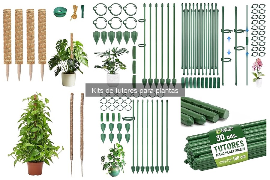Mantenimiento de Kits de Tutores para Plantas: Guía Práctica
