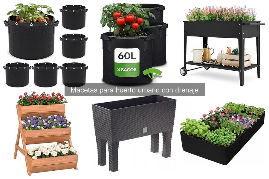 Mantenimiento de Macetas con Drenaje en Casa para Plantas