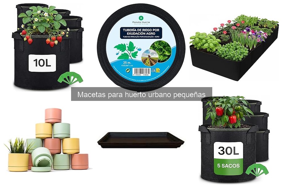 Mantenimiento de Macetas Pequeñas para Cultivo Urbano