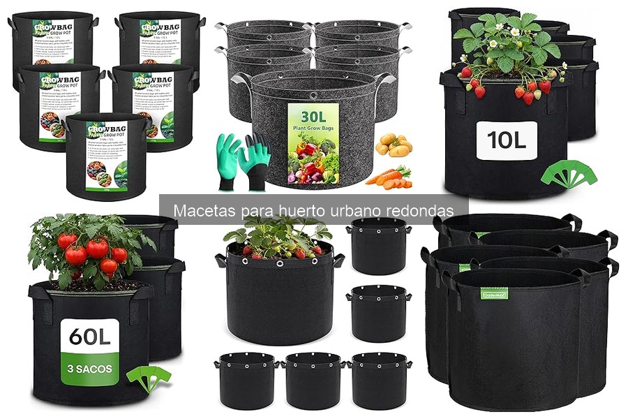 Mantenimiento de macetas redondas: consejos y cuidados esenciales