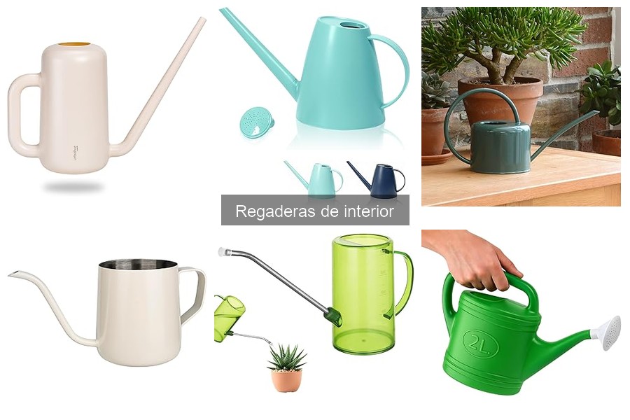 Mantenimiento de Regaderas de Interior: Consejos Esenciales