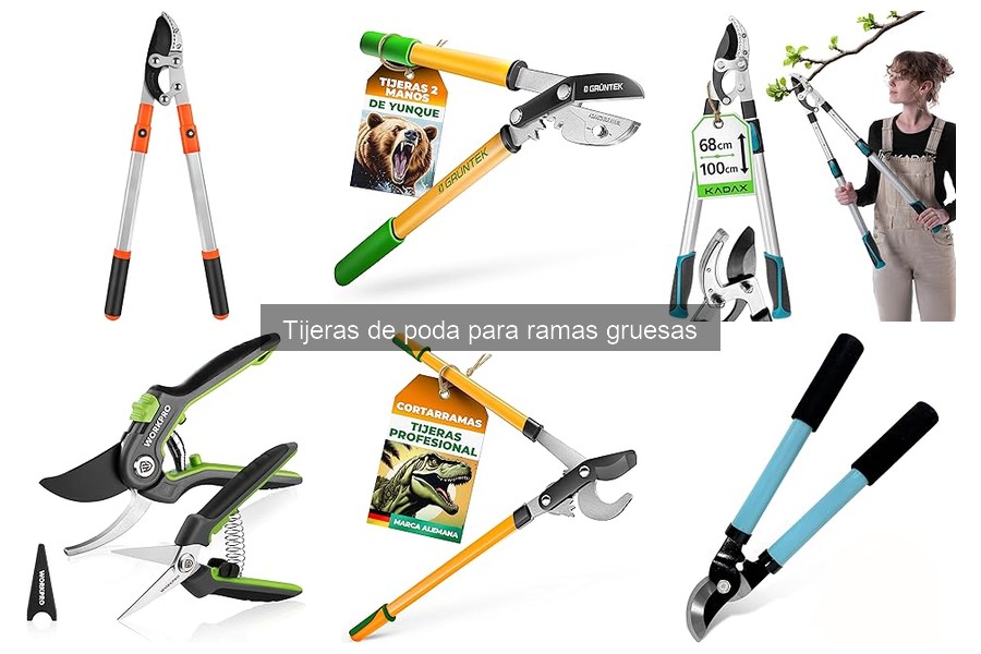 Mantenimiento de tijeras de poda para ramas gruesas