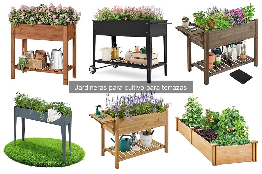 Mantenimiento eficiente de jardineras para cultivos en terrazas