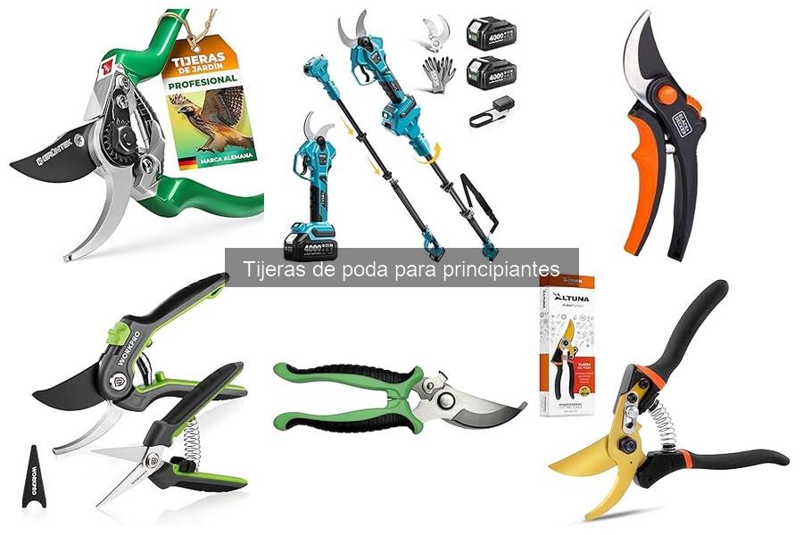 Mantenimiento y limpieza de tijeras de poda para principiantes