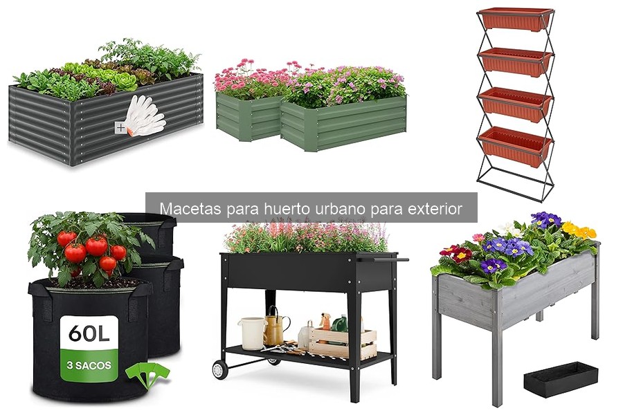 Mejor momento para trasplantar plantas en macetas