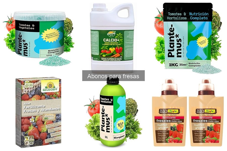 Mejores abonos para fresas: comparativa de marcas destacadas