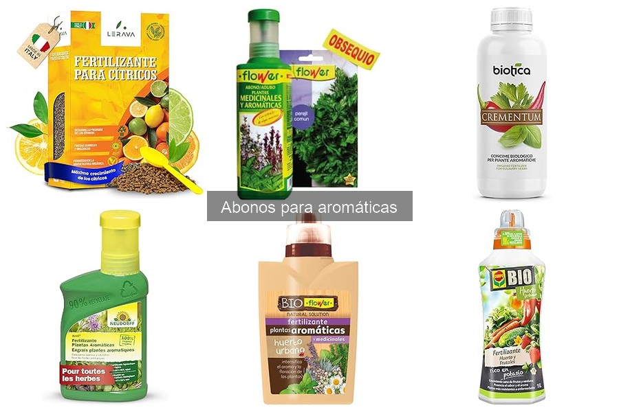 Mejores abonos para hierbas aromáticas en interiores