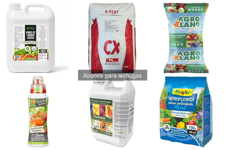 Mejores abonos para lechugas en cultivo hidropónico