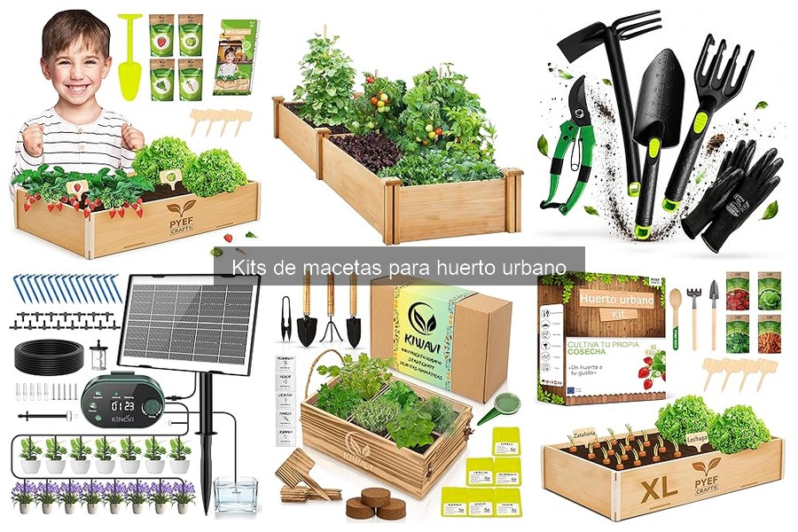Mejores aplicaciones para gestionar tu huerto urbano