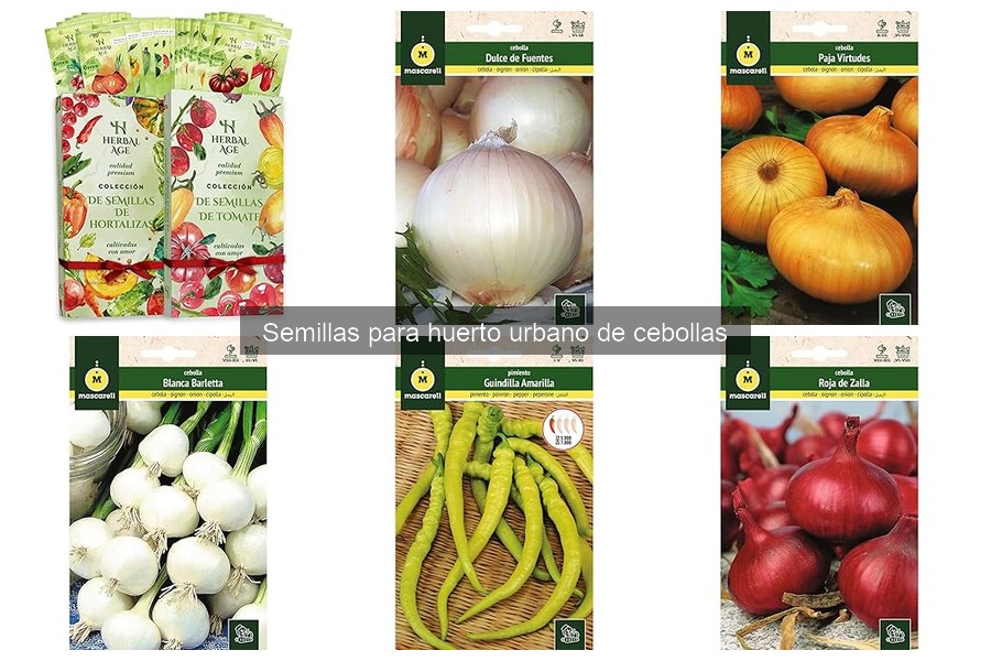 Mejores condiciones para cultivar cebollas en casa