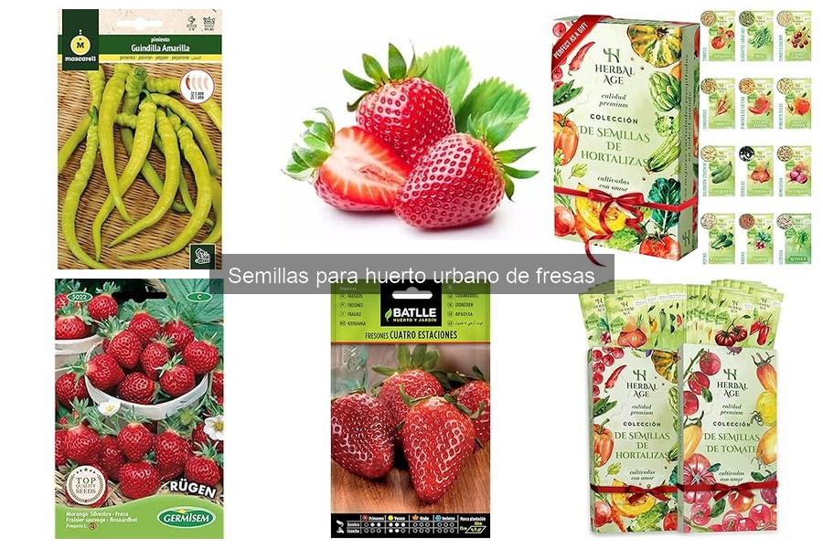 Mejores consejos para cosechar fresas en tu huerto urbano