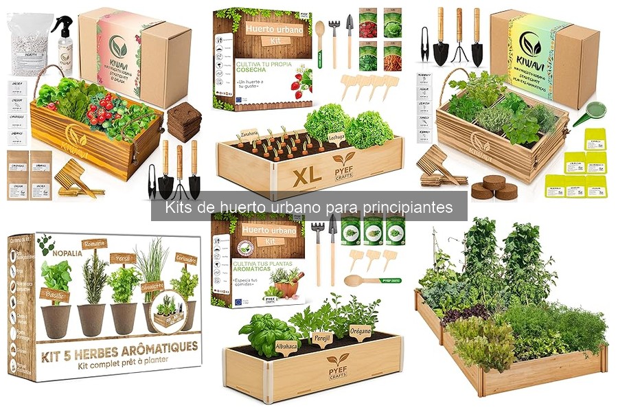 Mejores cultivos para iniciar con un kit de huerto urbano
