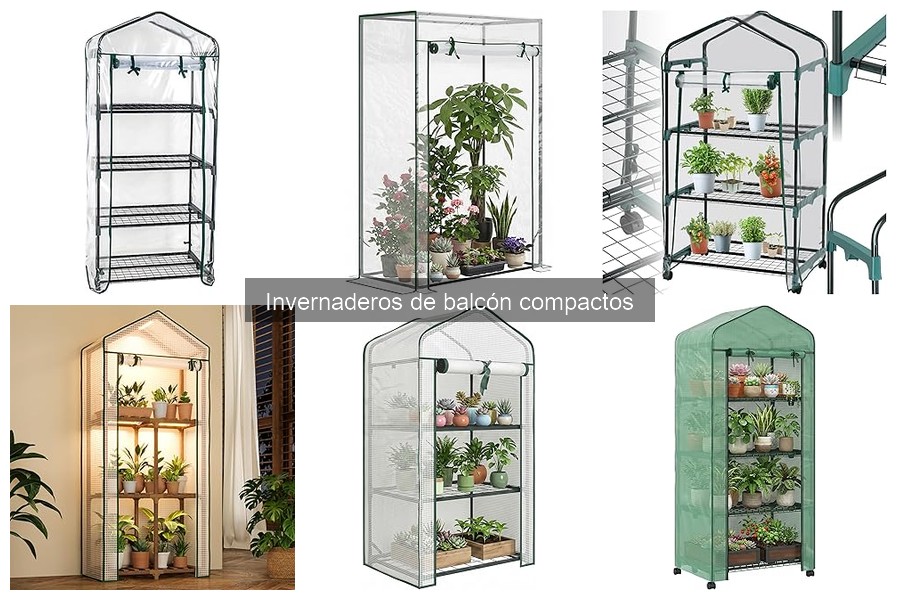 Mejores cultivos para tu invernadero de balcón compacto