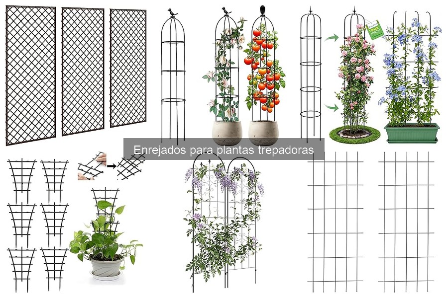 Mejores enrejados para plantas trepadoras en espacios pequeños