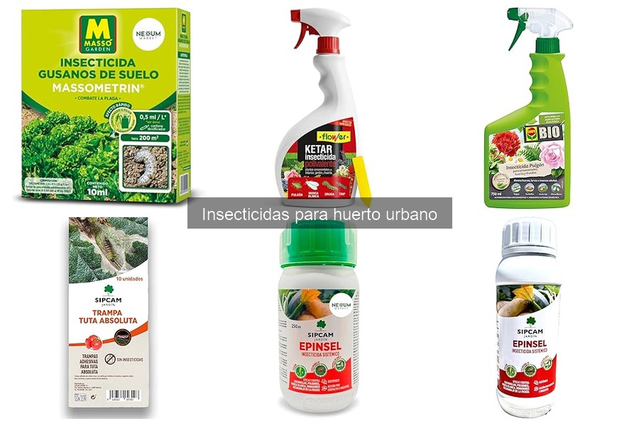 Mejores insecticidas para plagas en huertos urbanos