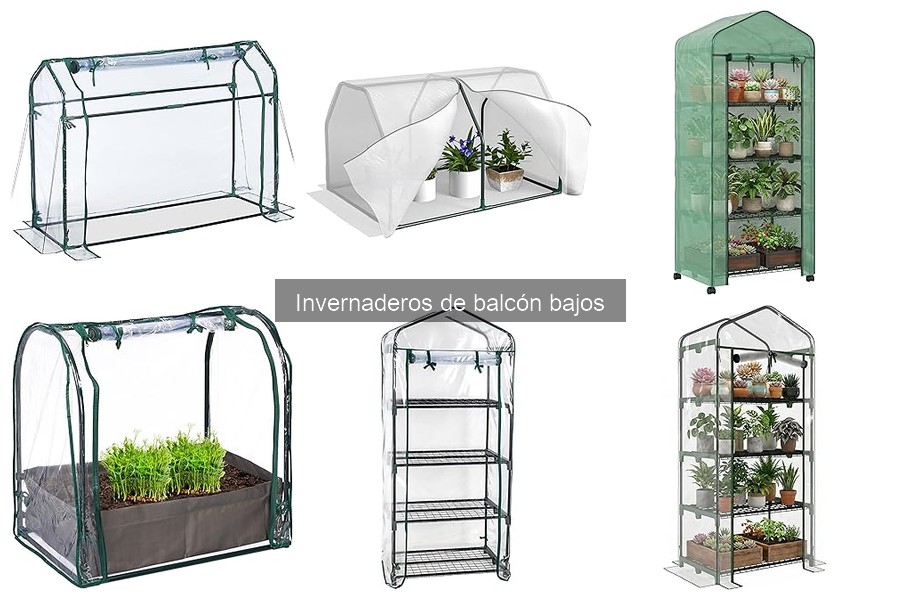 Mejores invernaderos de balcón bajos para principiantes